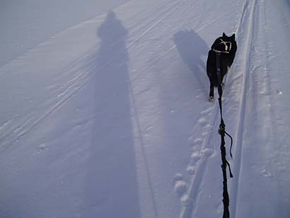 Pasi vetää