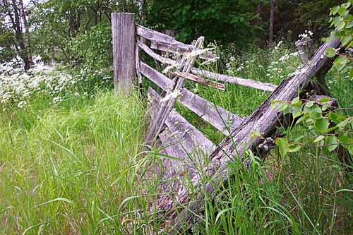 Hynnilänsaari