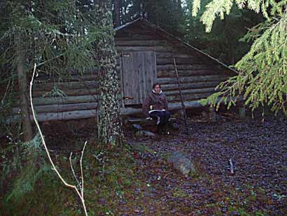 Järvisydämen laavu