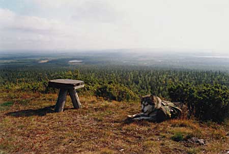 Valtavaaralta itään