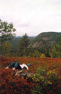 Konttaisen jälkeen