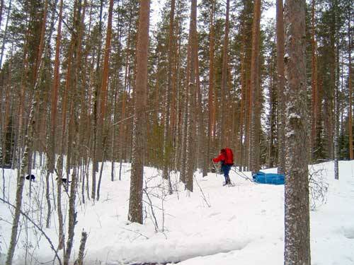 Laaksoa ja kukkulaa.