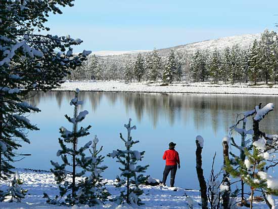 Järvi aamuauringossa