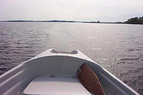 Perävana