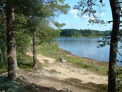 Maisema