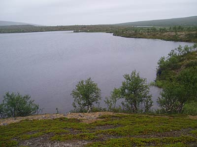 järvi