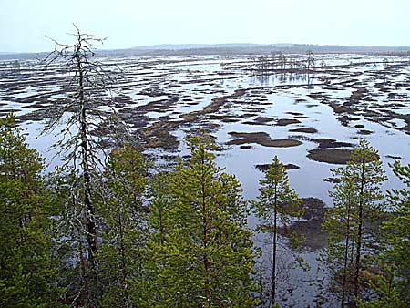 Hanhien kotimaa