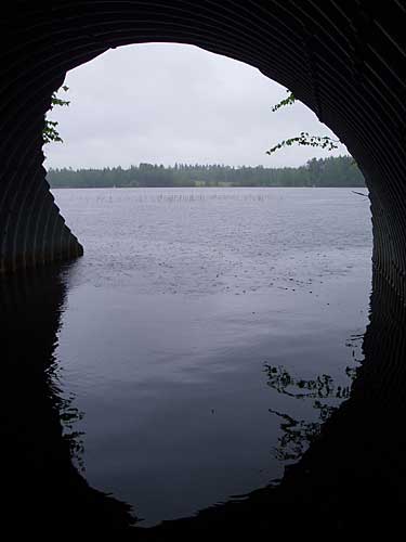 Kotiranta häämöttää
