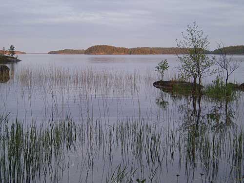 Kevätkesän yö