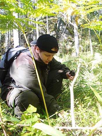 Sieniä